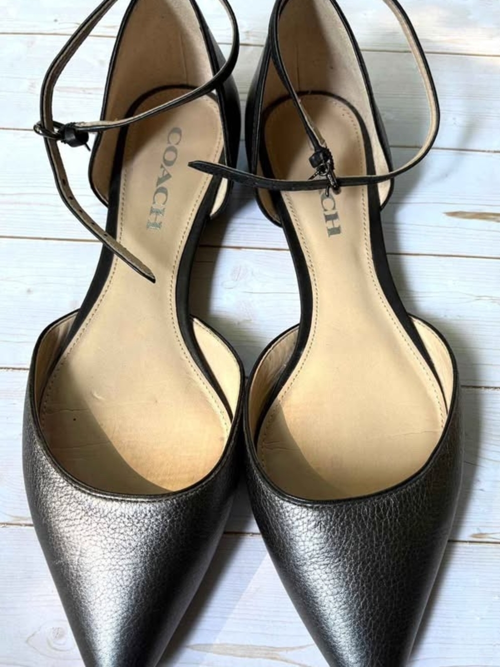 COACH Metallic Pointed-Toe Ankle Strap Leather Jameson Flats - Silver
